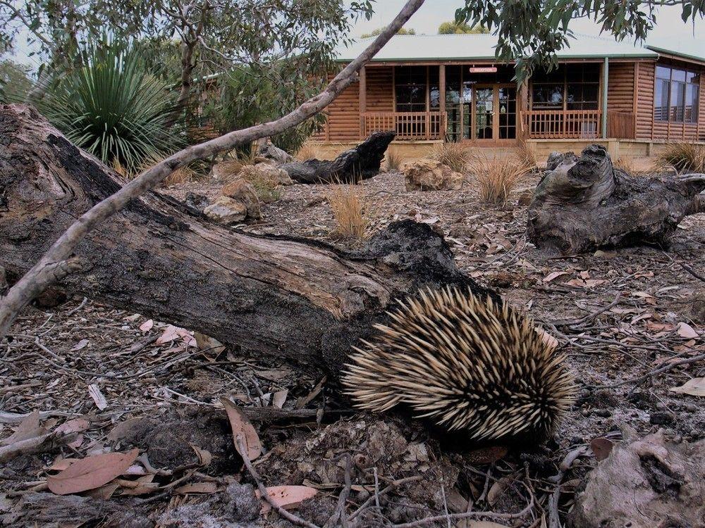 Kangaroo Island Wilderness Retreat Flinders Chase Εξωτερικό φωτογραφία