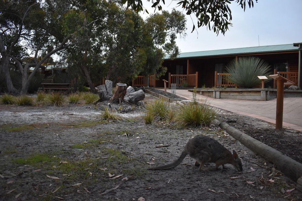 Kangaroo Island Wilderness Retreat Flinders Chase Εξωτερικό φωτογραφία