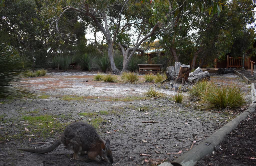 Kangaroo Island Wilderness Retreat Flinders Chase Εξωτερικό φωτογραφία