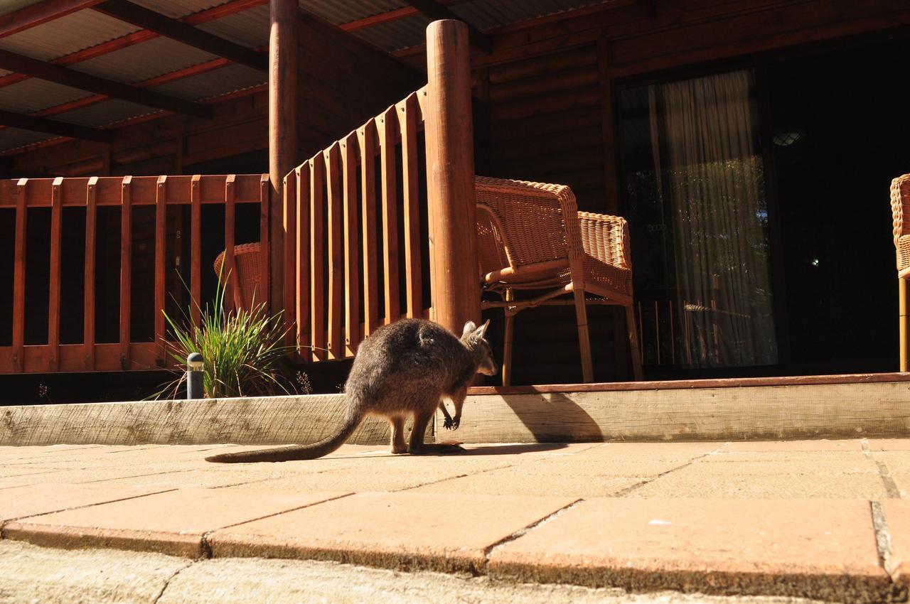 Kangaroo Island Wilderness Retreat Flinders Chase Εξωτερικό φωτογραφία