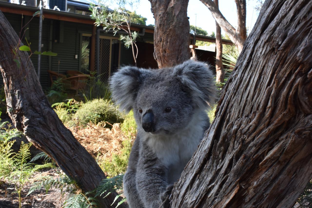 Kangaroo Island Wilderness Retreat Flinders Chase Εξωτερικό φωτογραφία