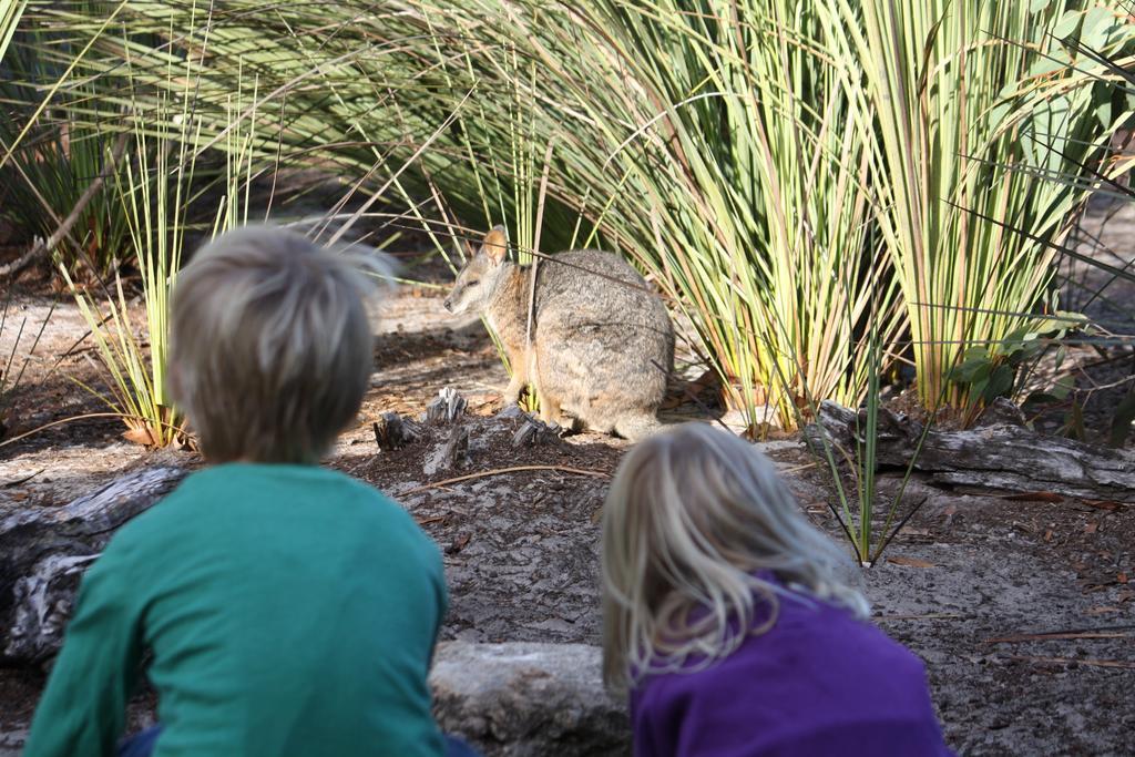 Kangaroo Island Wilderness Retreat Flinders Chase Εξωτερικό φωτογραφία
